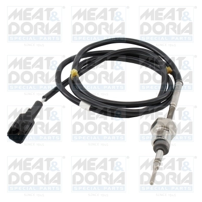 Sensor, exhaust gas temperature